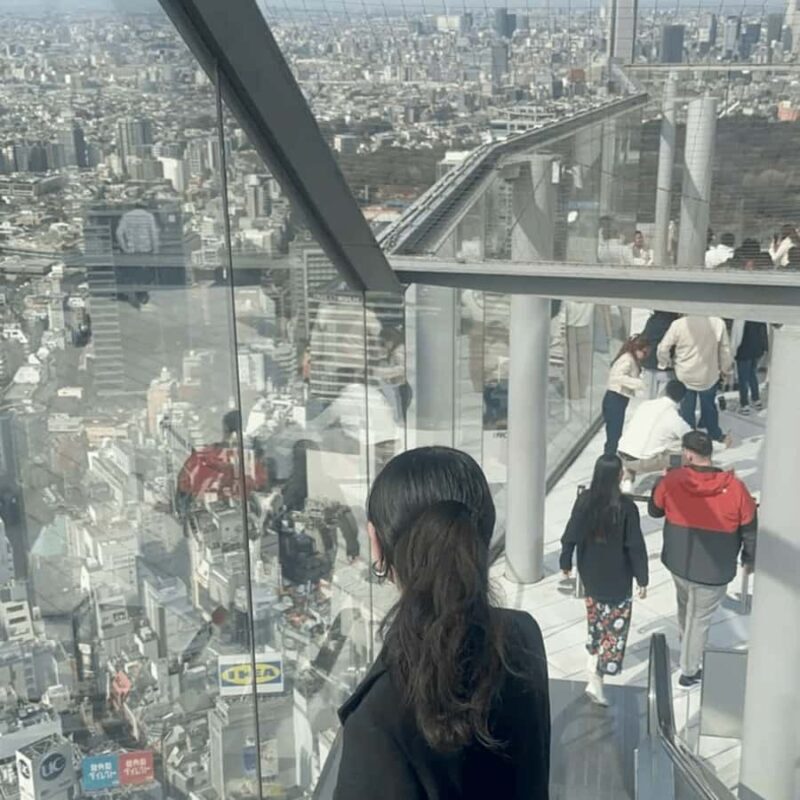 Tokyo City Private Tour Customizable Itinerary Top Places - An In-Depth Look at the Tour Experience