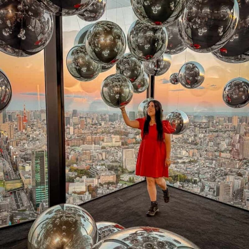 Tokyo City Private Tour English Driver Adjustable Itinerary - What Makes This Tour Stand Out?