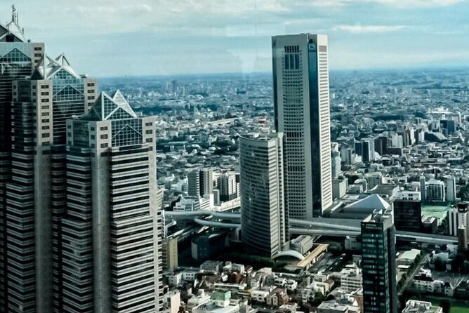 tokyo-city-tour-in-shinjuku-with-licensed-guide-2