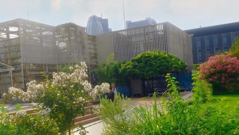 tokyo-city-tour-in-shinjuku-with-licensed-guide