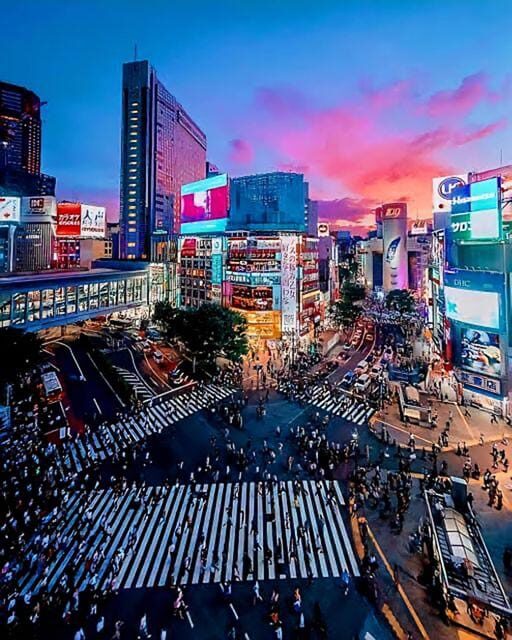 Tokyo: City Tour Tokyo With Driver - Frequently Asked Questions