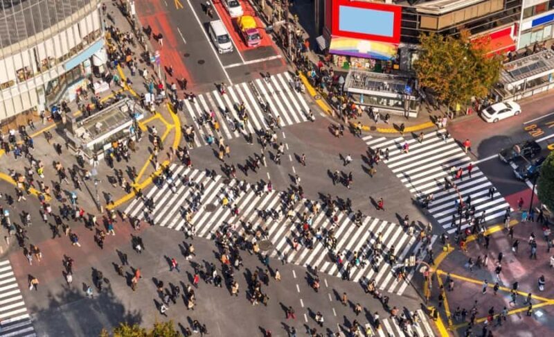 Tokyo Classic Morning Highlights Tour - The Sum Up: Why This Tour Is a Smart Choice