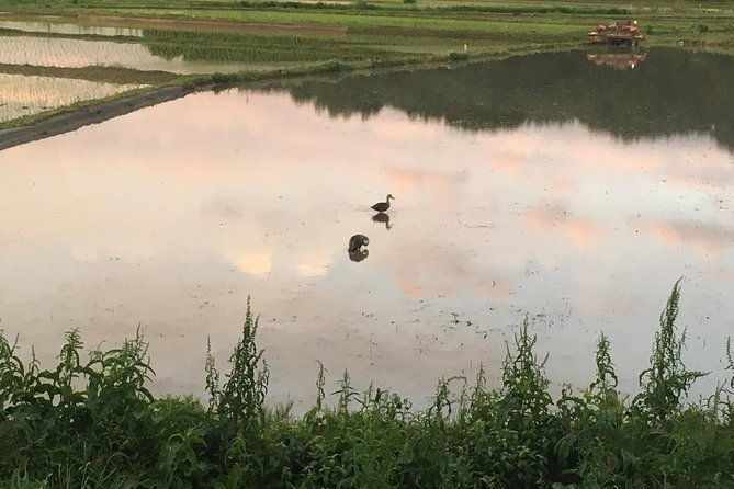 tokyo-countryside-exploration-private-tour