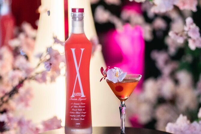 Tokyo Cross Roppongi Karaoke Nightclub Ticket with Drinks - The Sum Up: Is It Worth It?