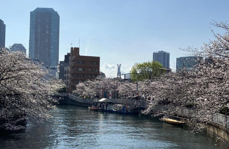tokyo-cultural-temple-tour-with-a-real-local