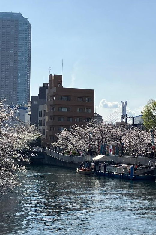 tokyo-cultural-temple-tour-with-a-real-local