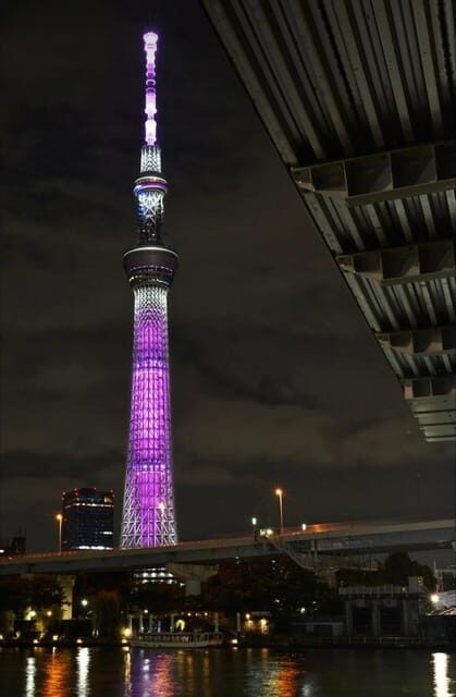 Tokyo Customizable Private Tour by Car & Van - Discovering Tokyo in Style and Comfort