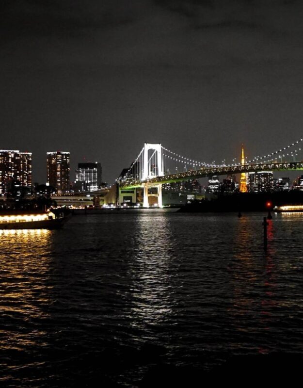 Tokyo Customizable Private Tour by Car & Van - The Sum Up