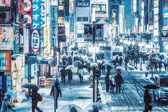 tokyo-customizable-private-tour-with-english-speaking-driver