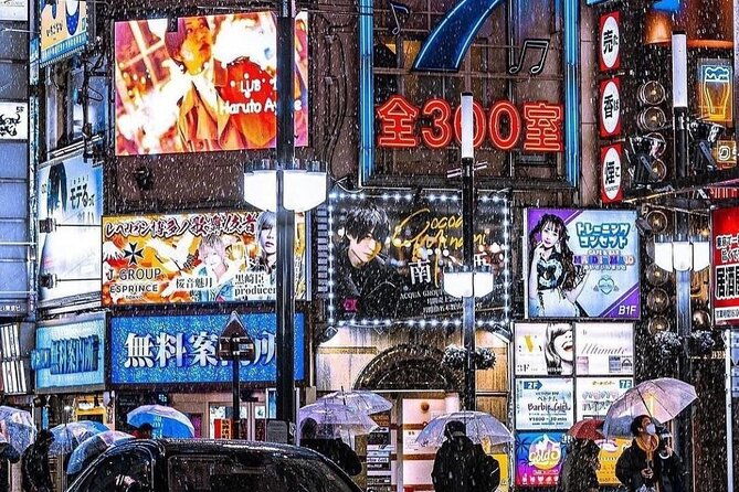 tokyo-customizable-private-tour-with-english-speaking-driver