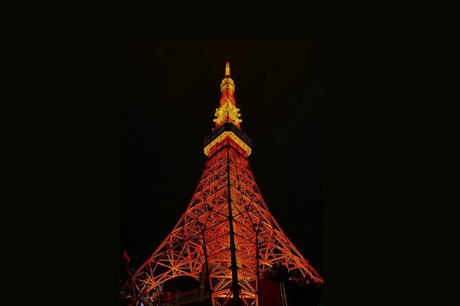 Tokyo Customizable Private Walking Tour with a Local Guide - Reviews and Real Experiences