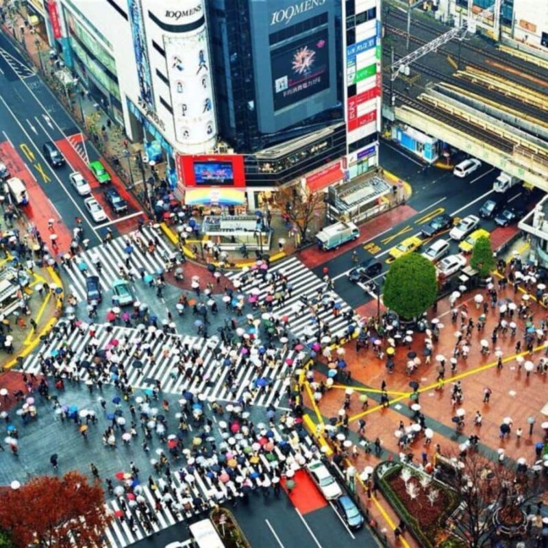 Tokyo Customize Private City Tour By English Speaking Driver - Key Points