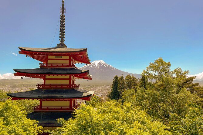 Tokyo: Customized Mt. Fuji & Hakone Sightseeing Private Day Trip - Pricing and Value