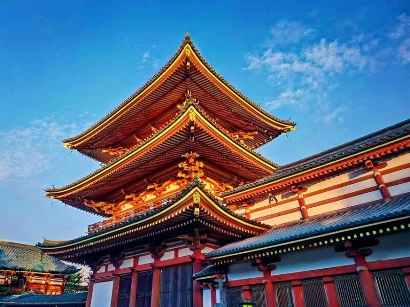 tokyo-customized-private-tour-with-a-local-guide