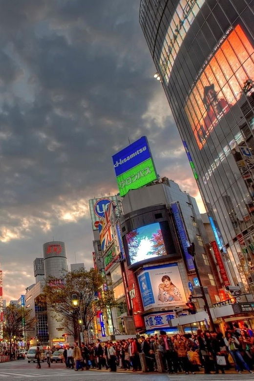 tokyo-customized-private-tour-with-a-local-guide