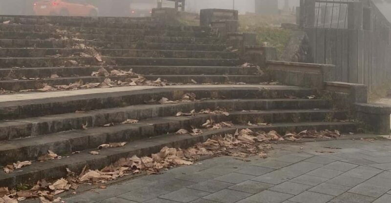 tokyo-customized-private-tour-with-a-local-guide