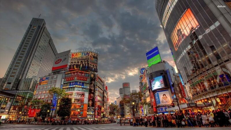 tokyo-customized-private-tour-with-a-local-guide