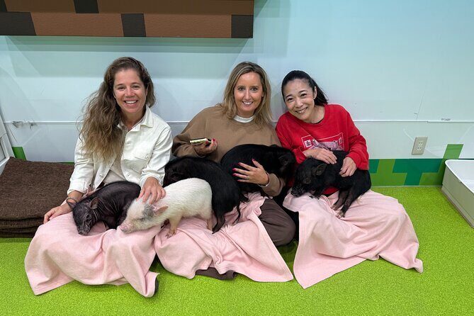 Tokyo: Customized Private Walking Tour with Hitomy _5hrs - A Closer Look at the Tour Itinerary