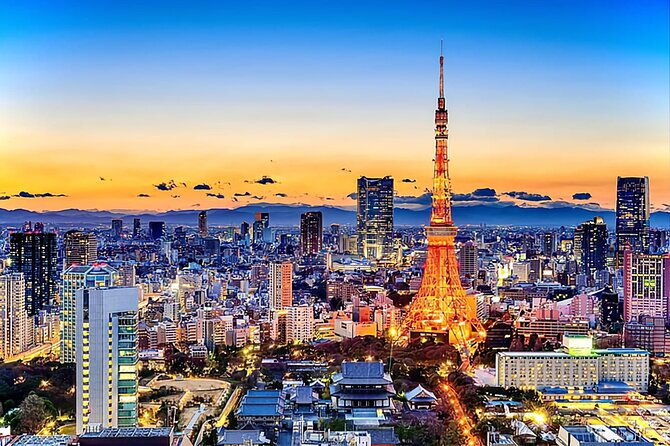 tokyo-day-tour-with-english-hindi-speaking-driver