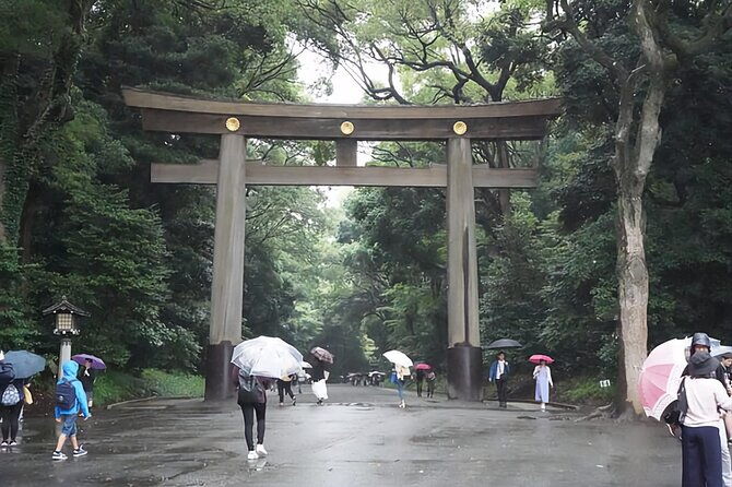 tokyo-day-tour-with-english-hindi-speaking-driver