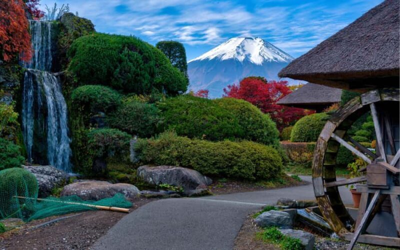Tokyo day trip -Mount Fuji Private Tour from Tokyo - Key Points