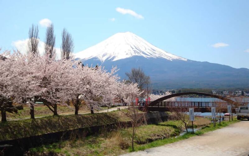 Tokyo day trip -Mount Fuji Private Tour from Tokyo - Cultural Stops and Lake Views