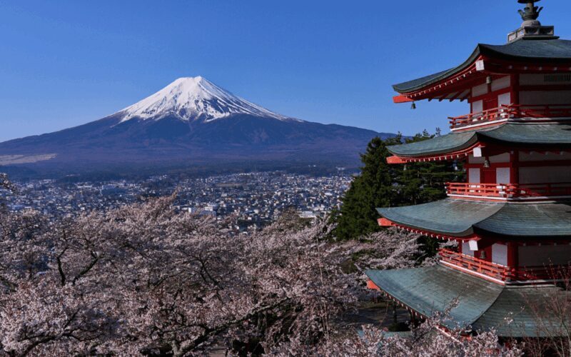 Tokyo day trip -Mount Fuji Private Tour from Tokyo - Final Thoughts: Is this Tour Worth It?