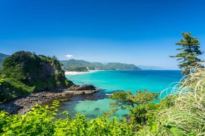 Tokyo Day Trip to Izu and Shimoda - Exploring the Izu and Shimoda Day Trip from Tokyo