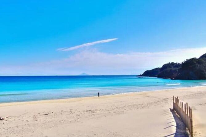 Tokyo Day Trip to Izu and Shimoda - Key Points