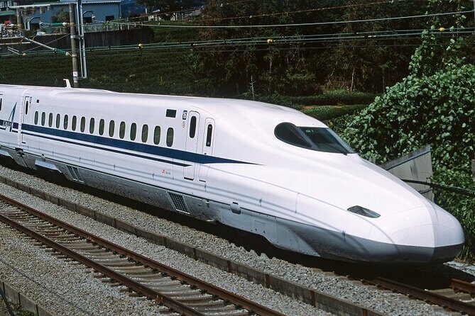 Tokyo Departure Ghibli Park 1 Day Package by Bullet Train - FAQs