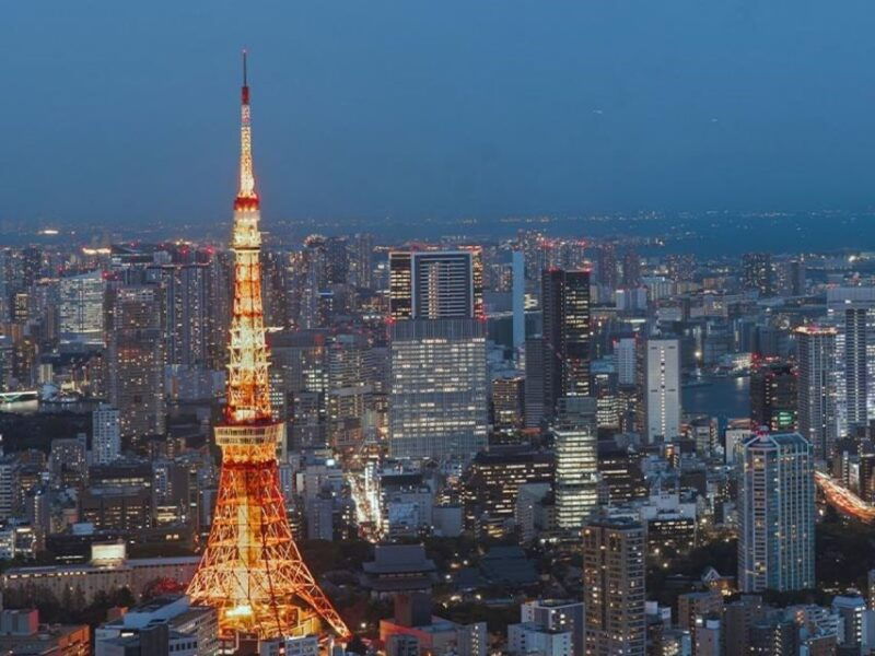 tokyo-dinner-cruise-with-shamisen-tokyo-tower-dance-show