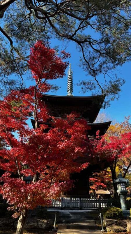 Tokyo: Discounted Customizable Walking Tour (ENG/Español) - What Makes This Tour Stand Out