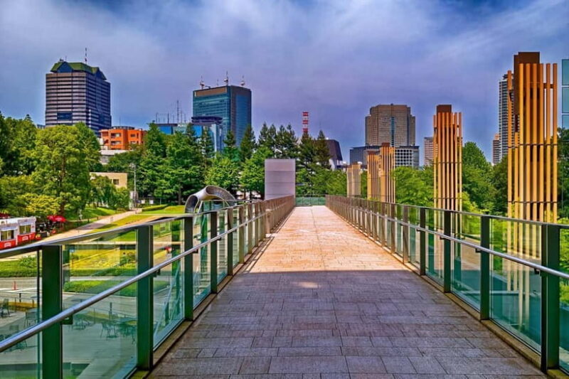 Tokyo Discovery: Custom Tours, Culture & City Views - Key Points