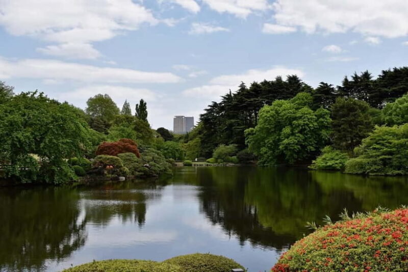 Tokyo Discovery: Custom Tours, Culture & City Views - What Makes This Tour Stand Out