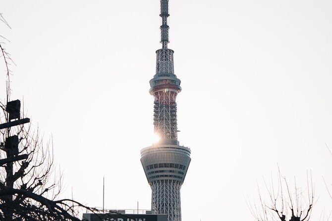 Tokyo Early Morning Tour Asakusa Meiji Shrine and Tsukiji Market - The Sum Up