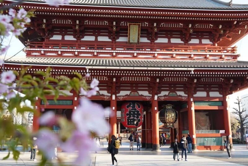 Tokyo Early Morning Tour Asakusa Tsukiji Meiji Shrine - What to Expect: The Experience