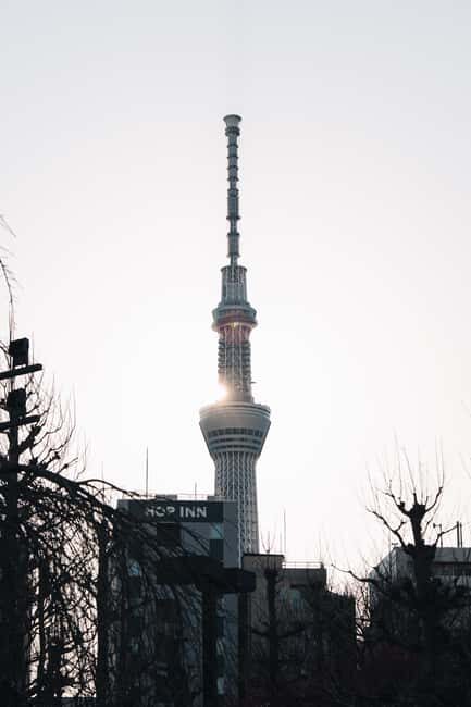 Tokyo Early Morning Tour Asakusa Tsukiji Meiji Shrine - The Sum Up
