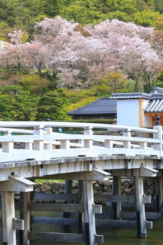 tokyo-east-garden-of-the-imperial-palace-walking-tour