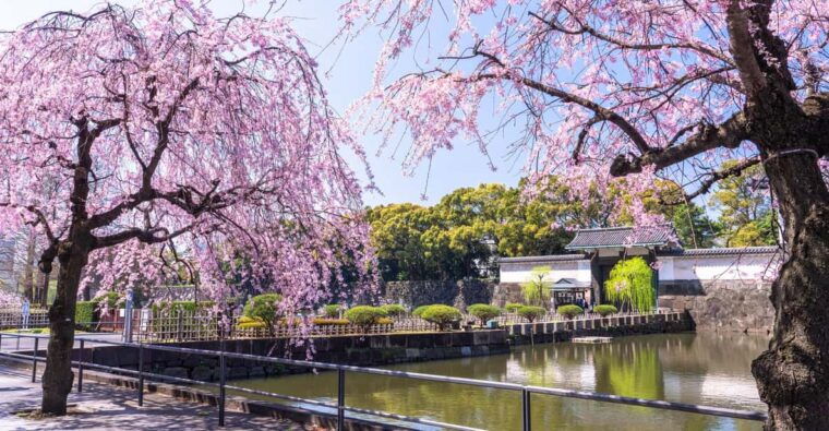 tokyo-east-garden-of-the-imperial-palace-walking-tour