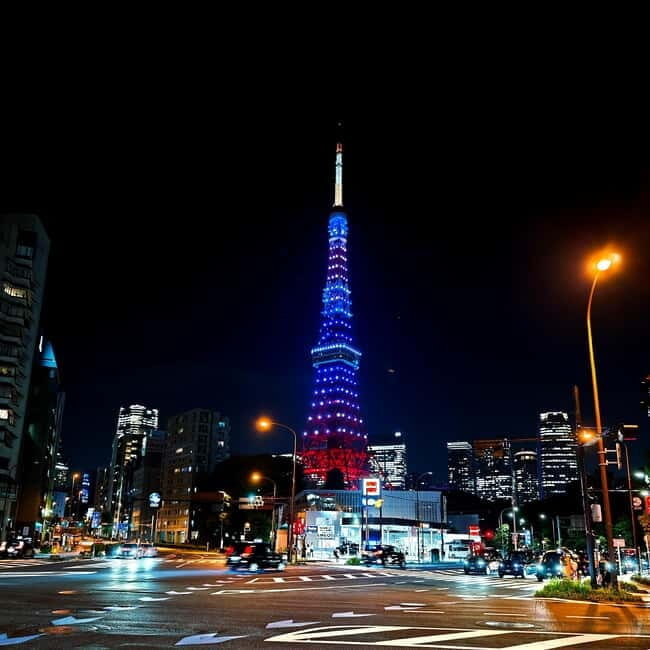 Tokyo: Evening Tour - Temples, Neon Streets & Culture - Who Is This Tour Best For?