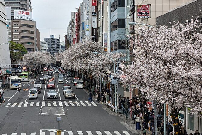tokyo-experience-food-cycling-local-life-tour