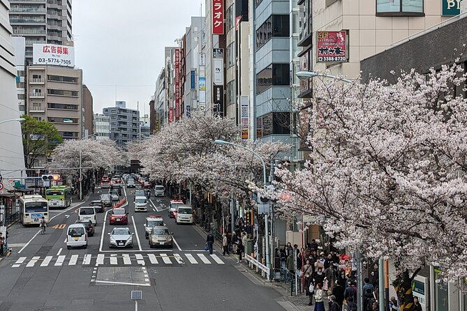 tokyo-experience-local-life-tour-calligraphy