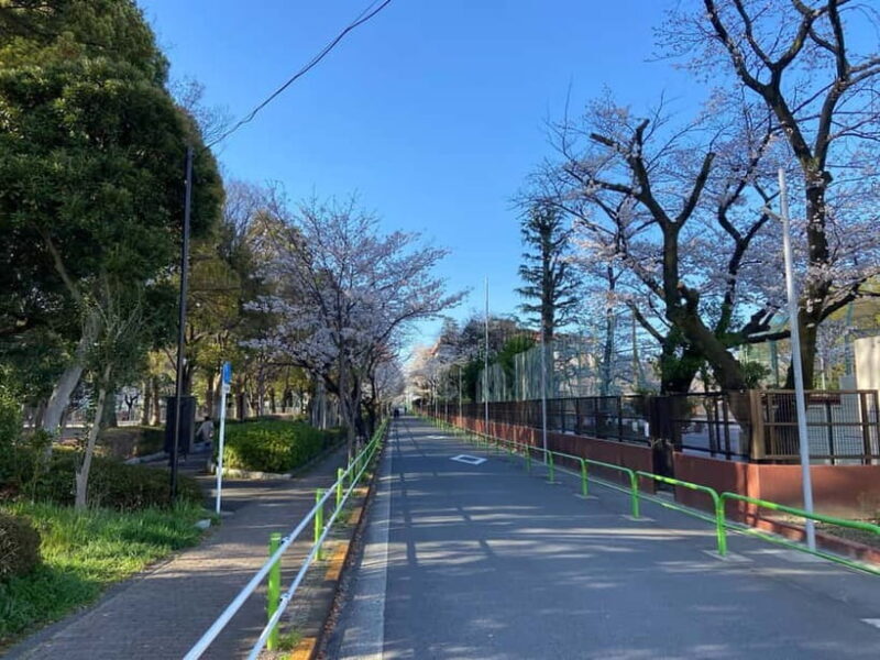 Tokyo: Explore the Authentic Life of a Residential Neighborhood - Final Thoughts