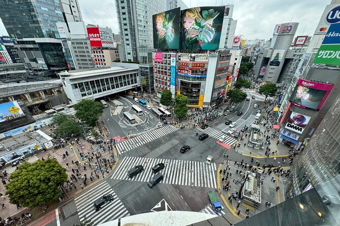 tokyo-famous-spot-day-tour-by-exclusive-car