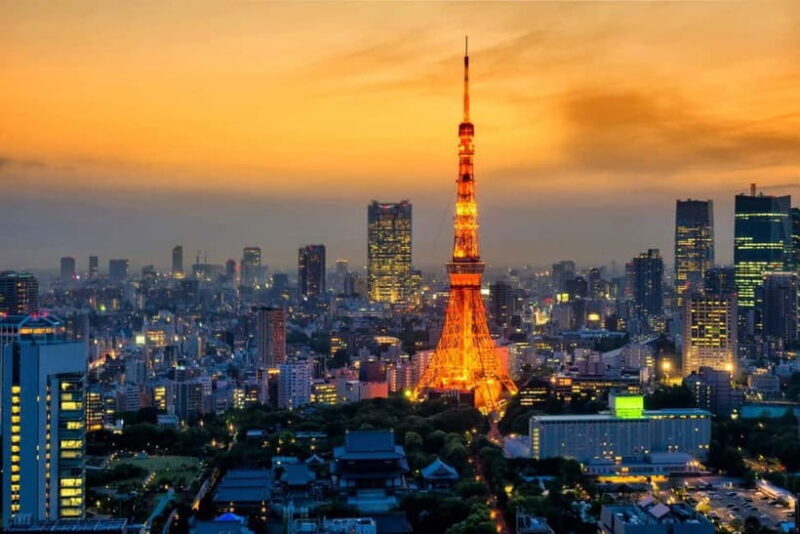 Tokyo: Fast & Furious Authentic Drift and JDM Experience - Who Should Consider This Tour?