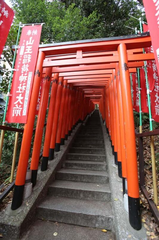 Tokyo: Feng Shui, Red Torii & Neon Private Tour - Key Points