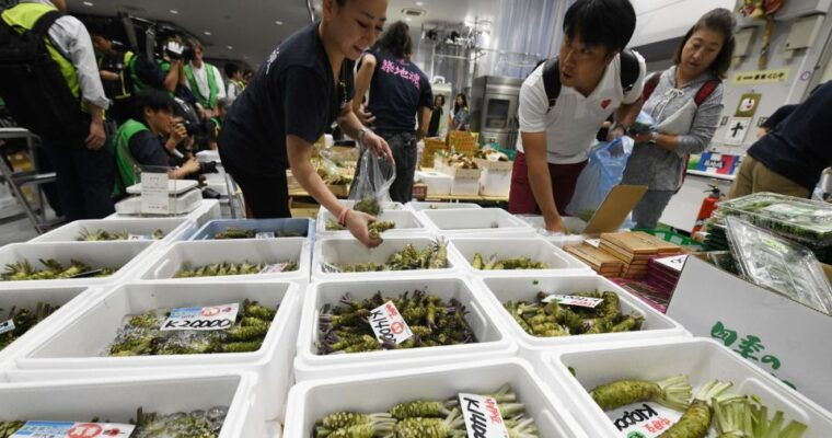 tokyo-food-and-culture-private-guided-tour