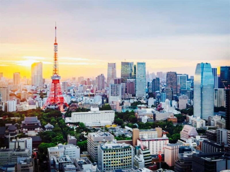 Tokyo Food & Culture Private Tour & Authentic Yakitori Lunch - An In-Depth Look at the Tokyo Food & Culture Private Tour