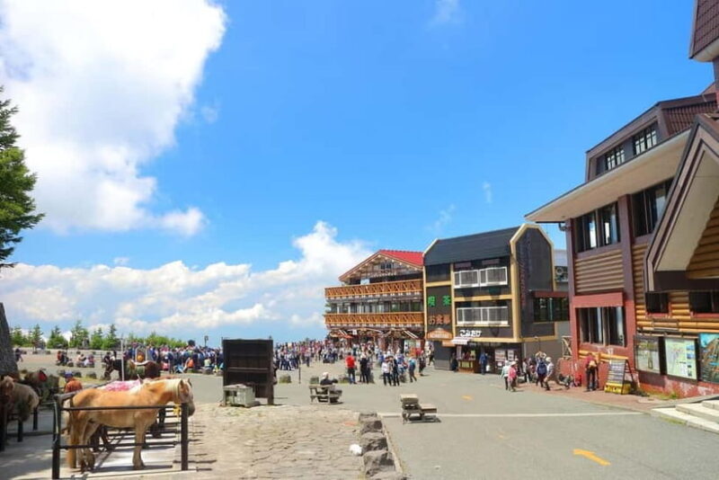 Tokyo: Fuji 5th St & Hakone Day Trip with Cable Car & Cruise - Why This Tour Works for You