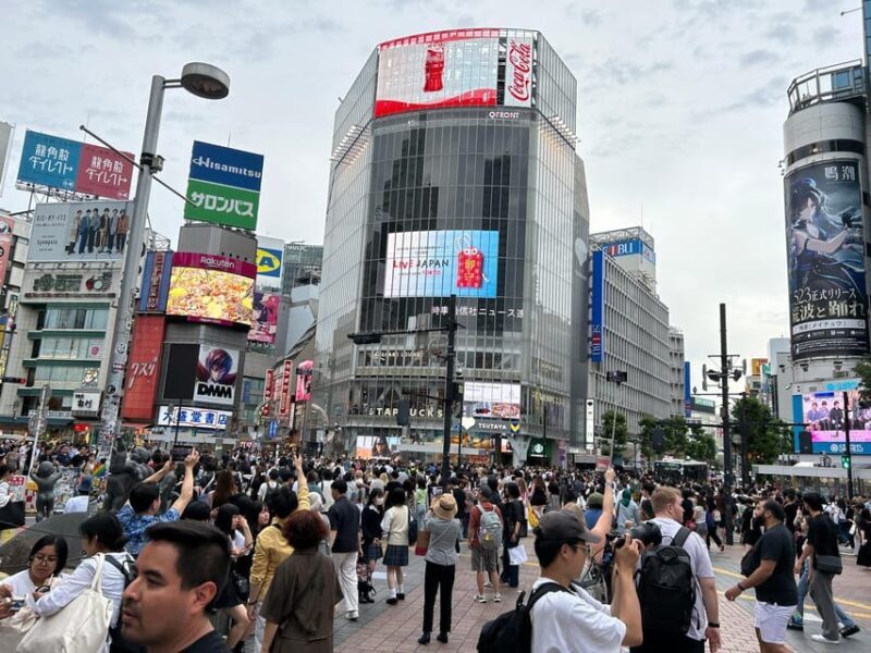 Tokyo & Fuji: Premium Car 2-Day Private Tour - Insights from Reviewers